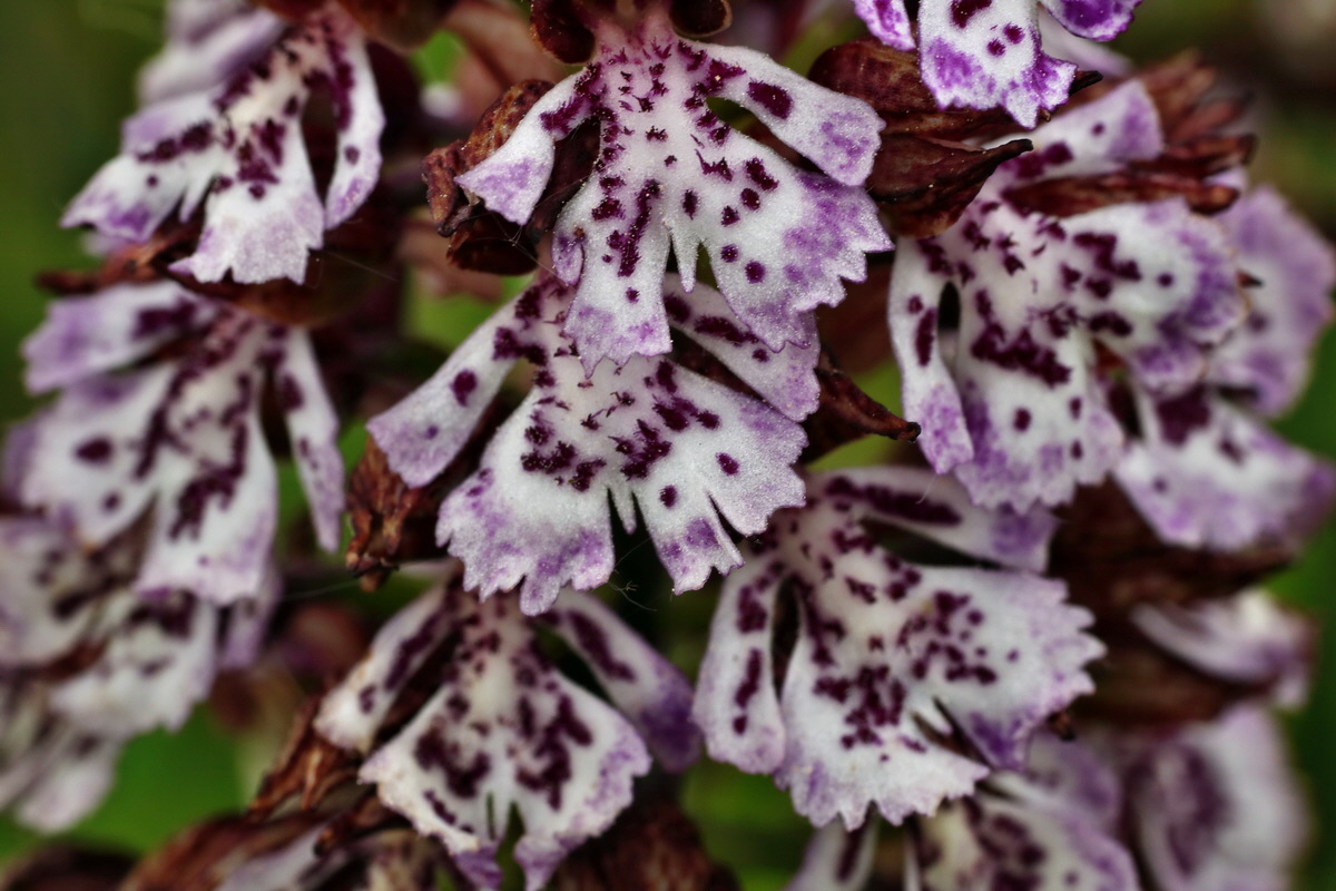 019_Bildgr��e �ndern