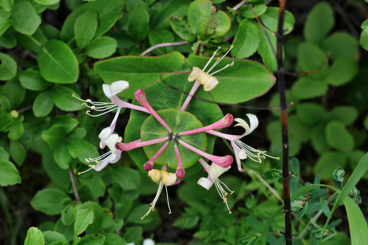 042_Bildgr��e �ndern