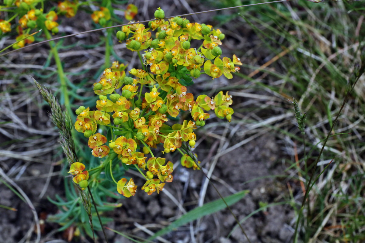 046_Bildgr��e �ndern