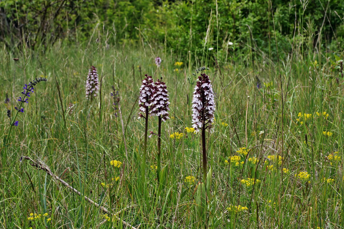 051_Bildgr��e �ndern