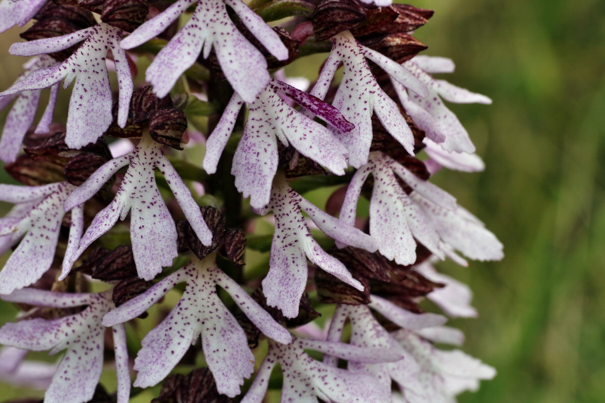 053_Bildgr��e �ndern