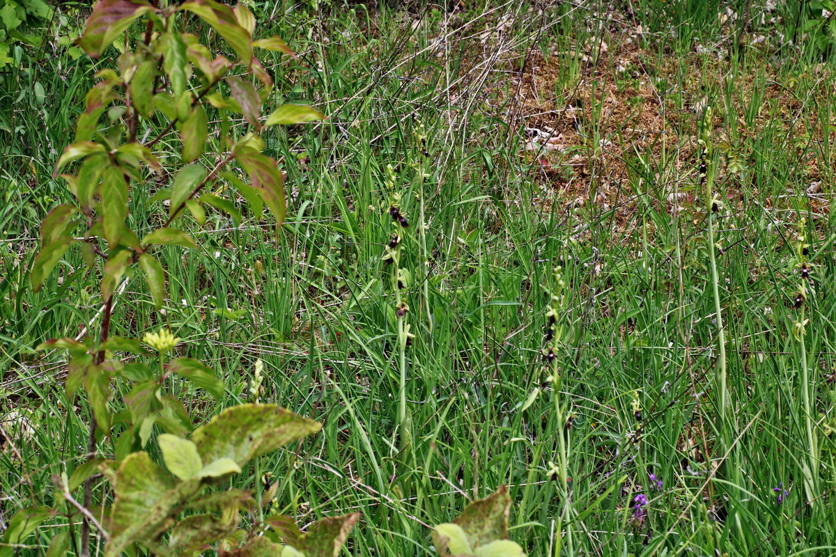 080_Bildgr��e �ndern