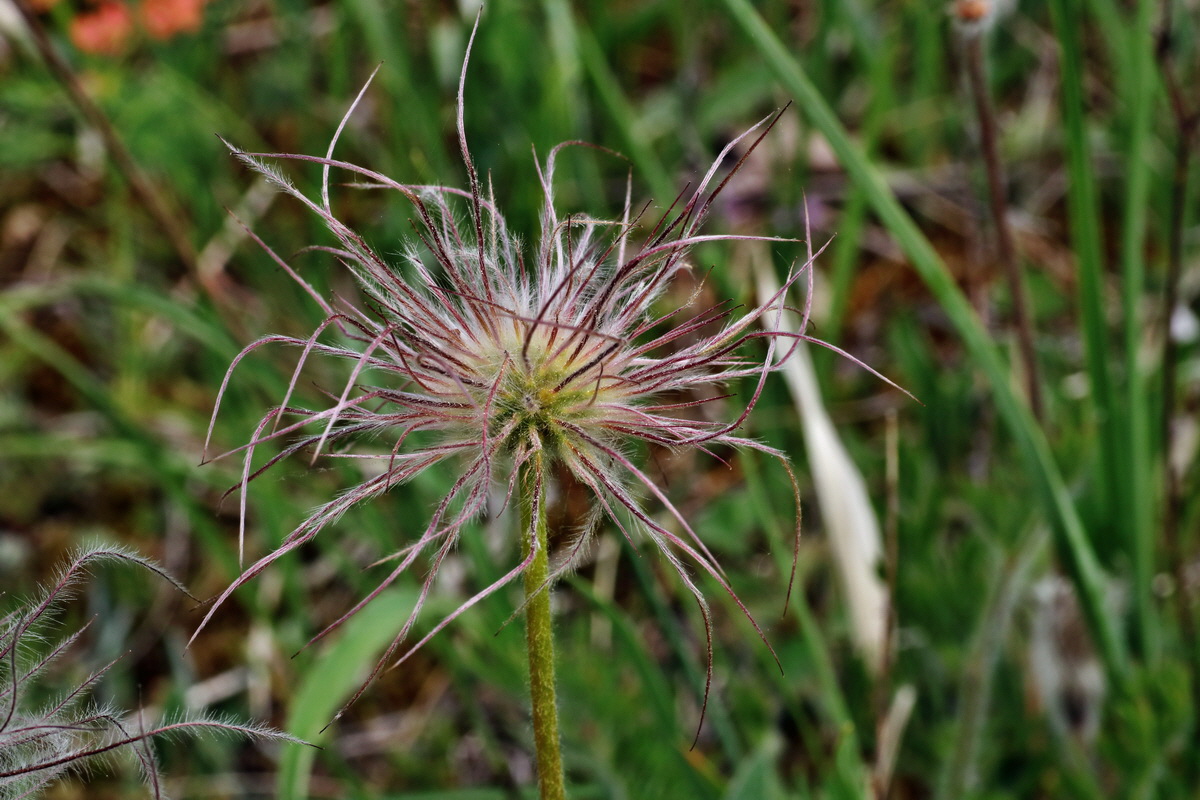 083_Bildgr��e �ndern