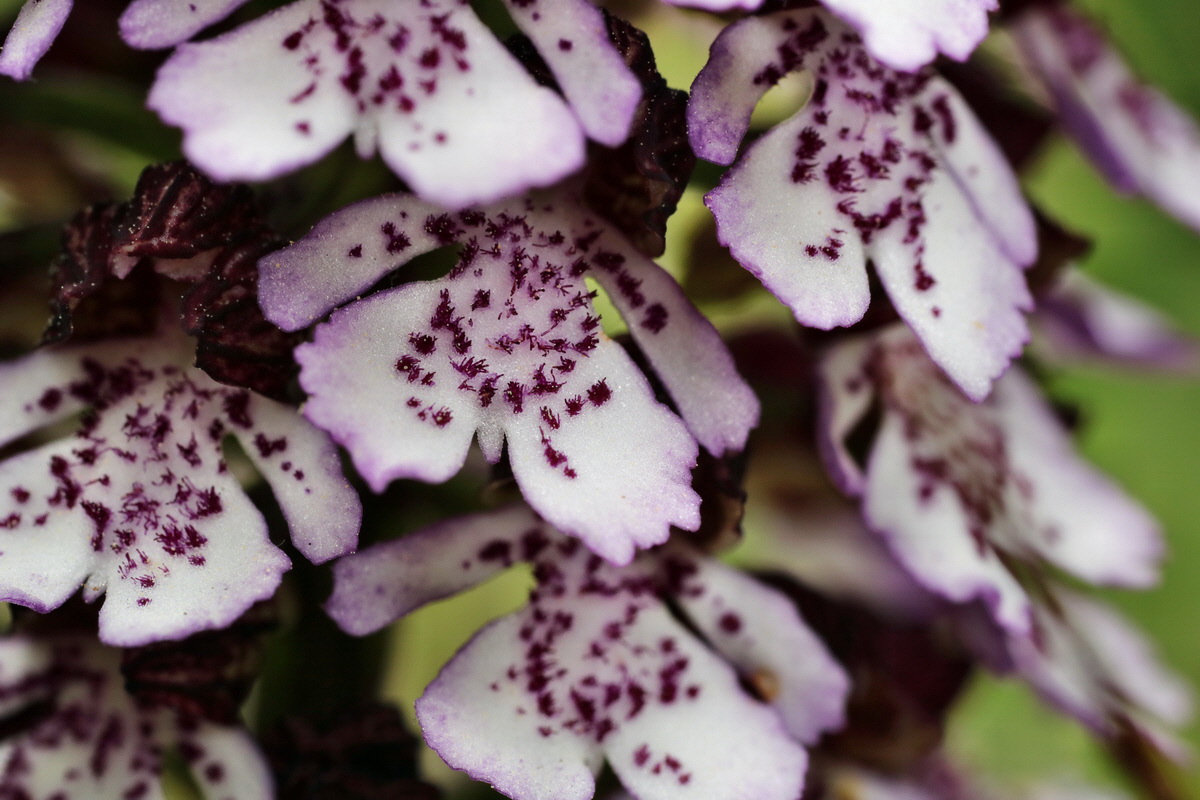 087_Bildgr��e �ndern