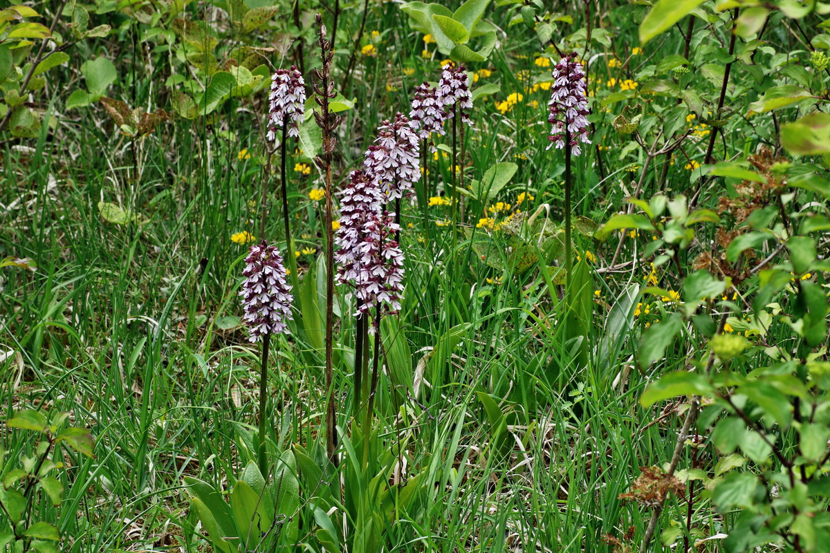 090_Bildgr��e �ndern