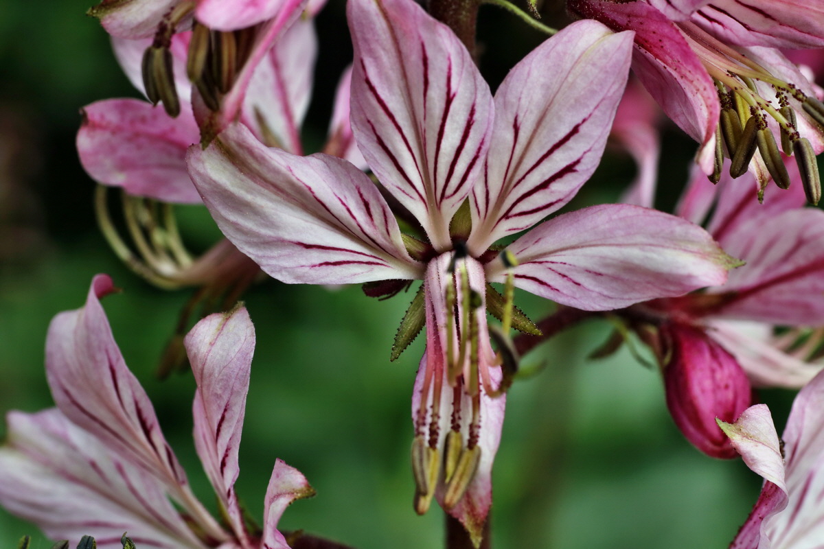 095_Bildgr��e �ndern