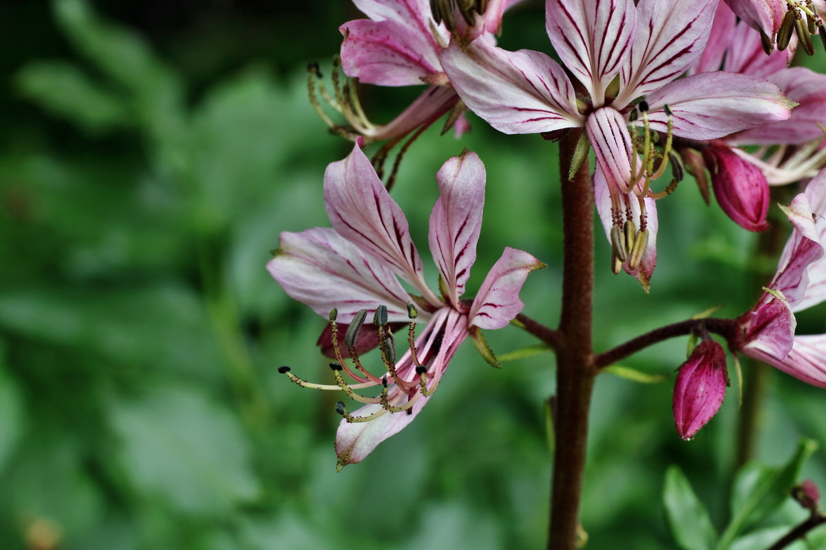 097_Bildgr��e �ndern