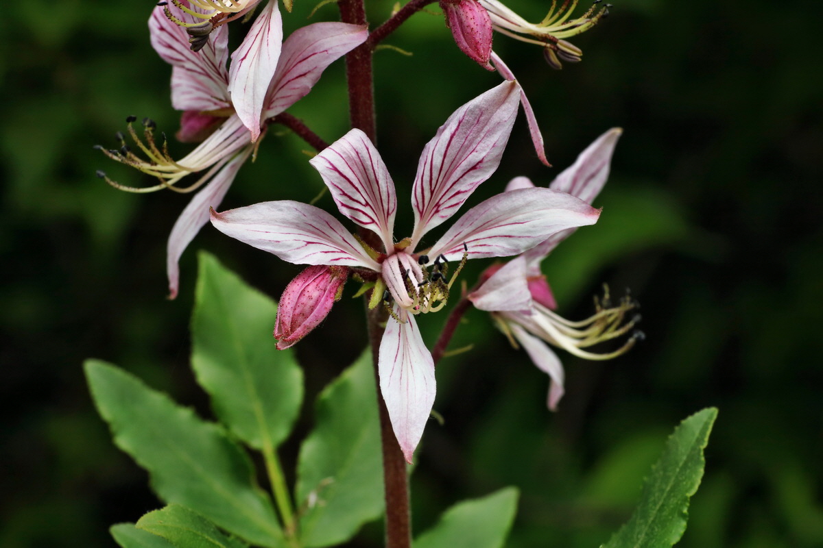 101_Bildgr��e �ndern