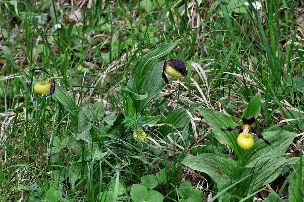 120_Bildgr��e �ndern