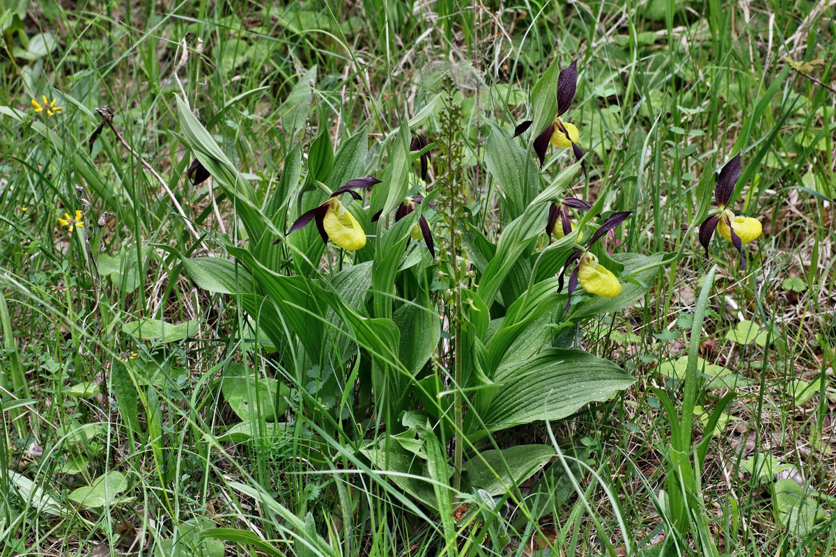 121_Bildgr��e �ndern