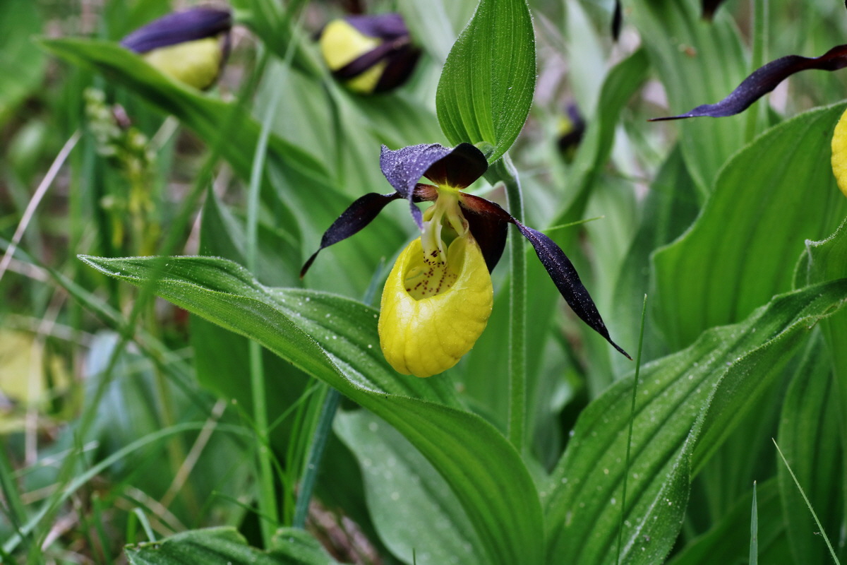 129_Bildgr��e �ndern