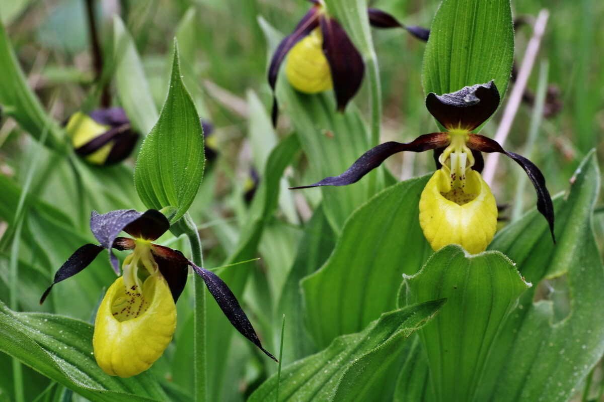 131_Bildgr��e �ndern