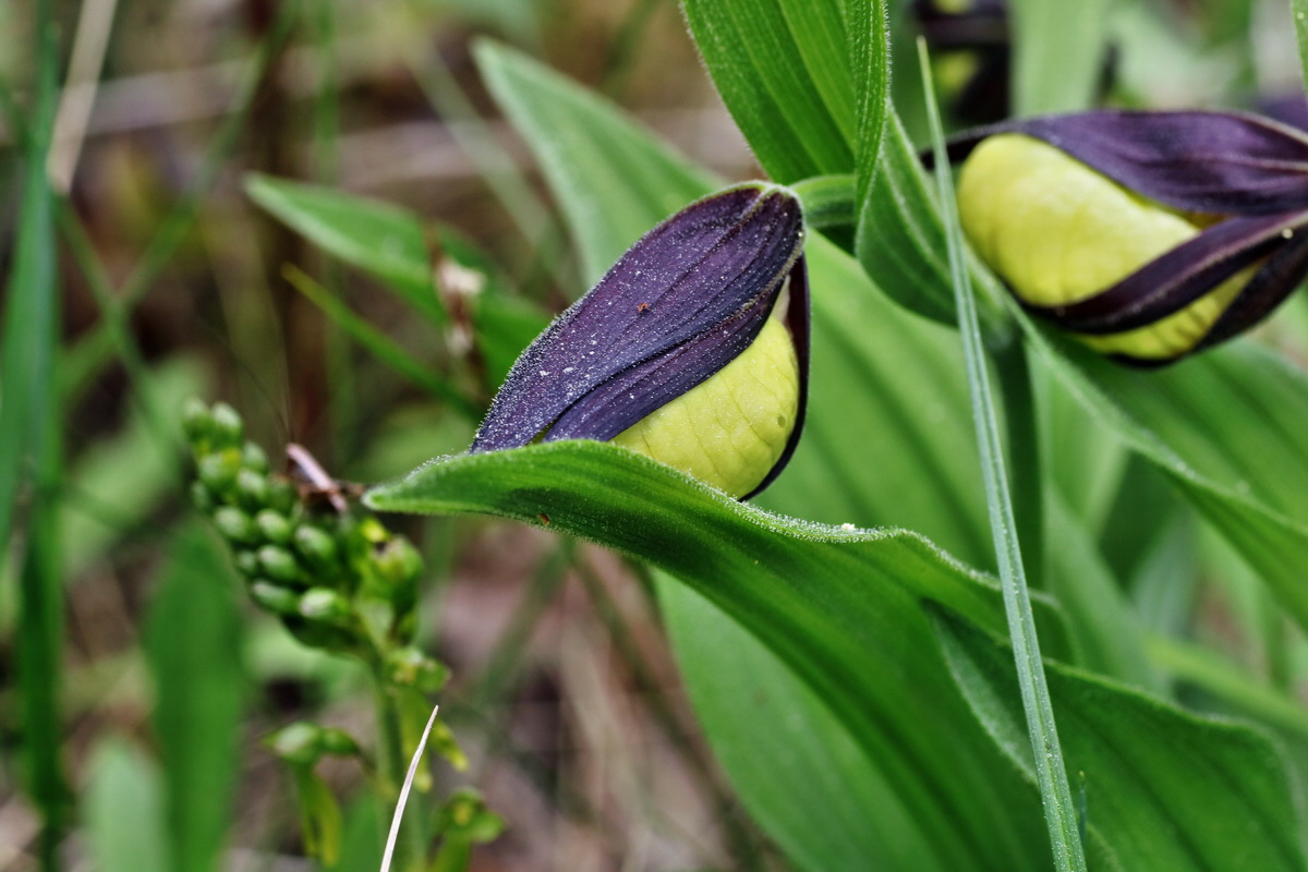 135_Bildgr��e �ndern