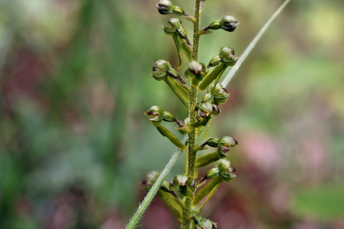 138_Bildgr��e �ndern