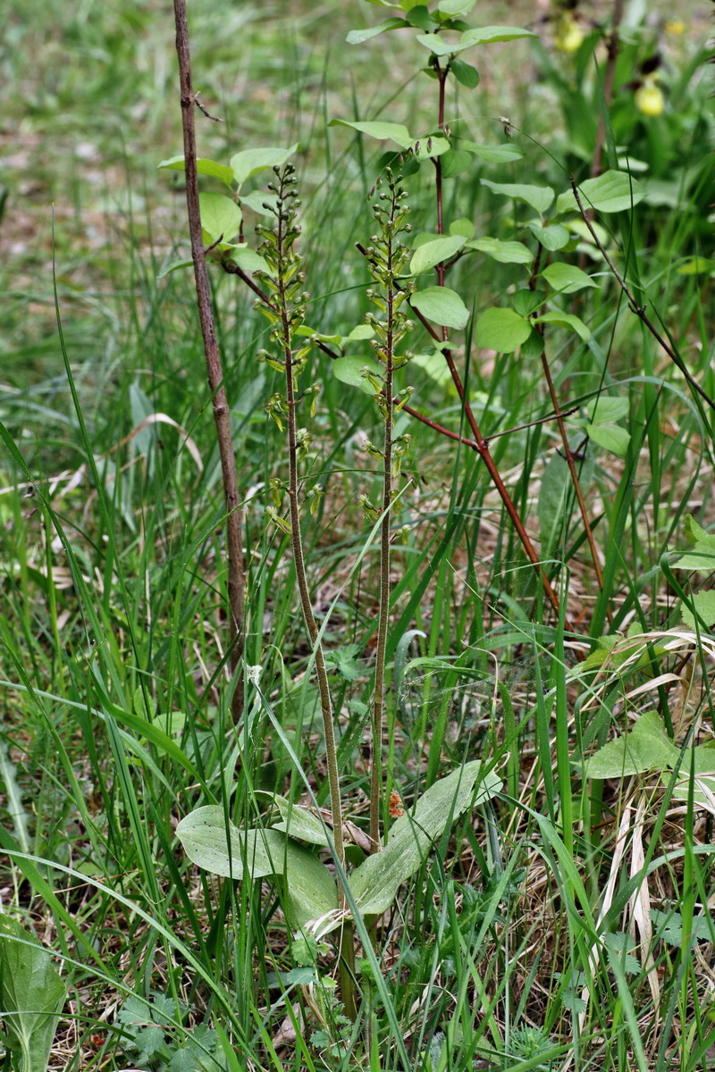 140_Bildgr��e �ndern