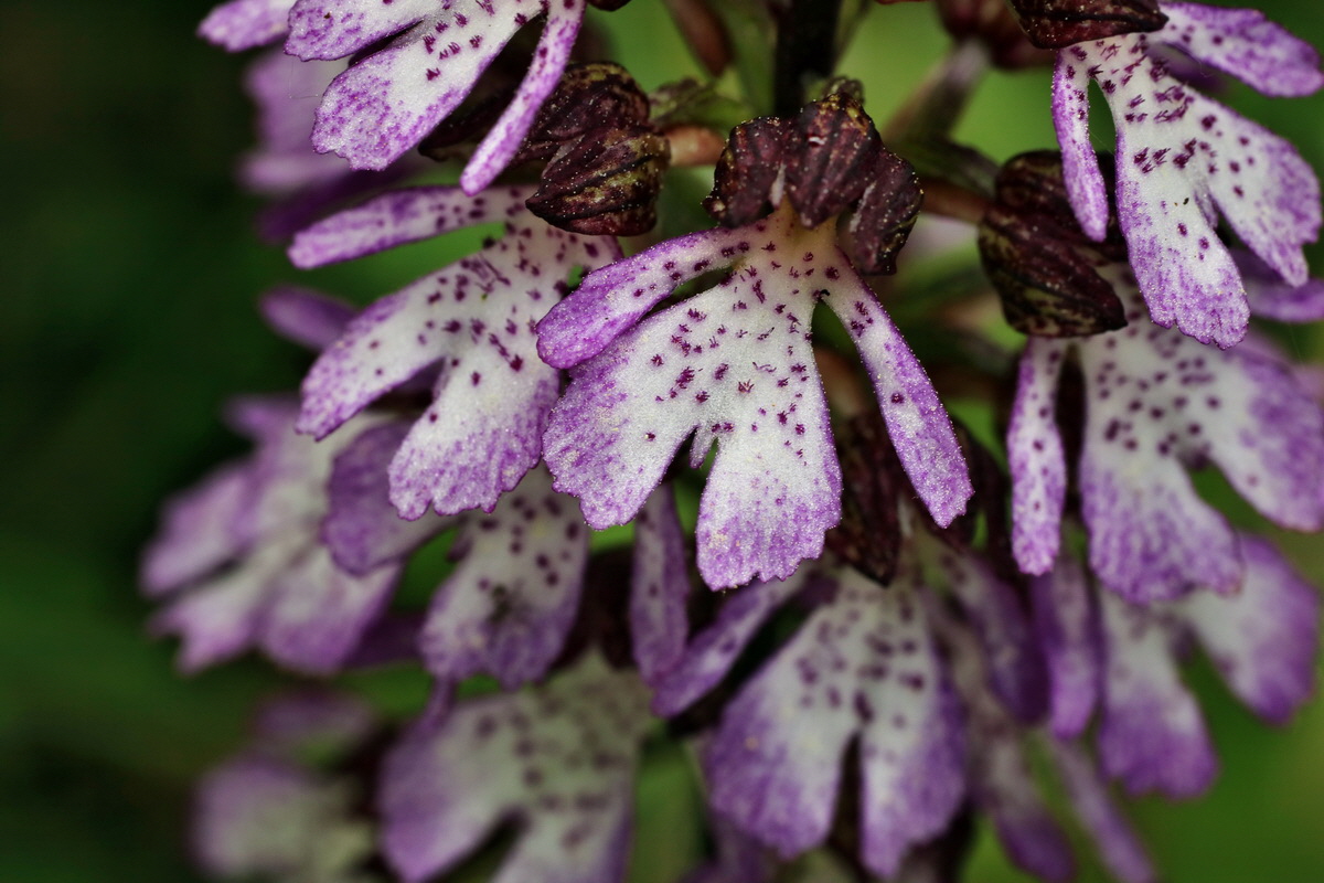 145_Bildgr��e �ndern