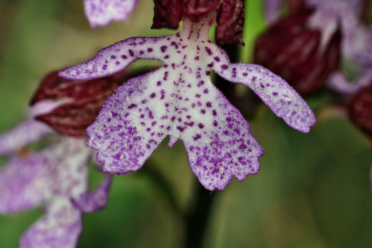 147_Bildgr��e �ndern