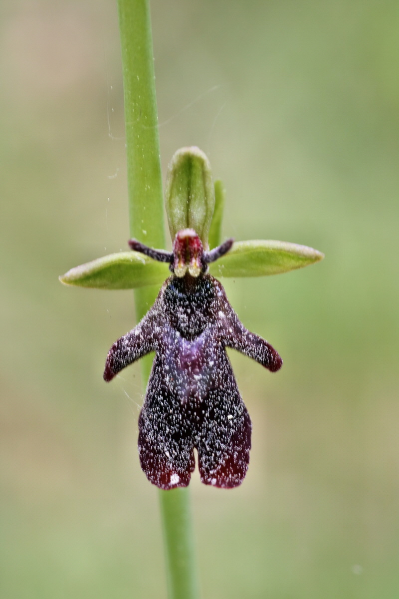 168_Bildgr��e �ndern