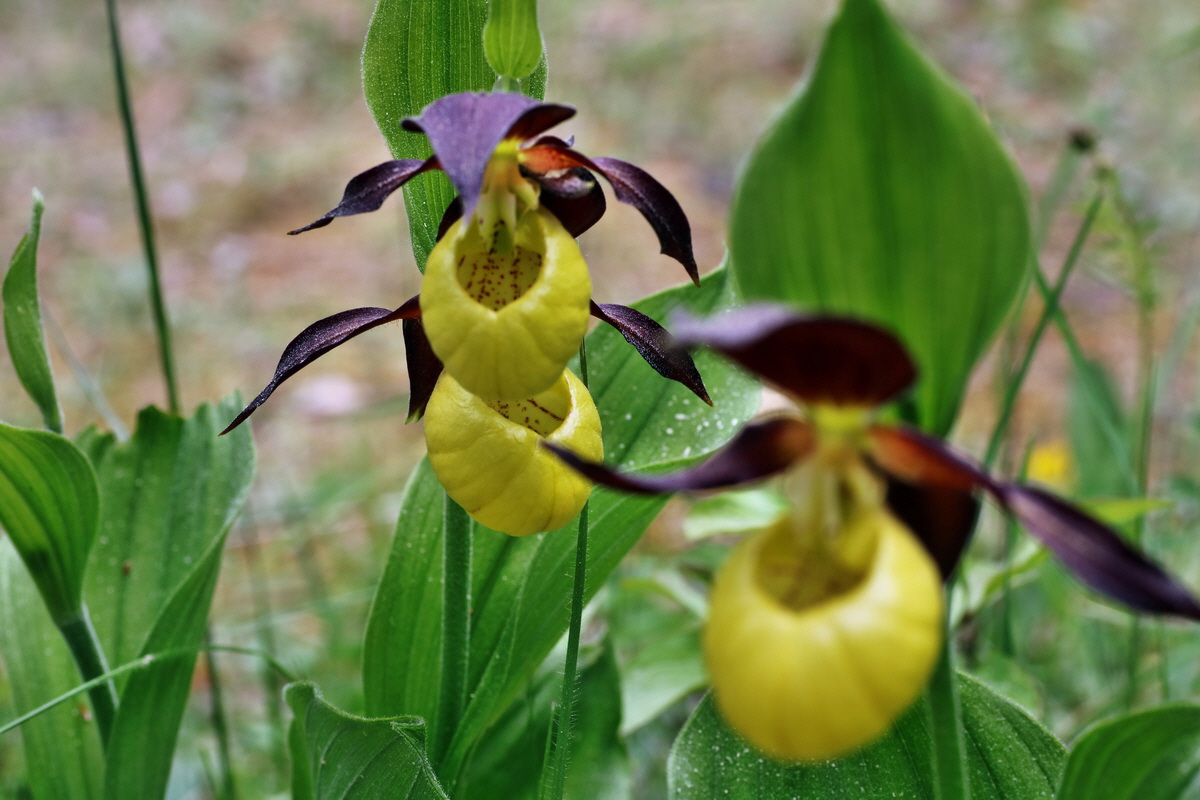 169_Bildgr��e �ndern