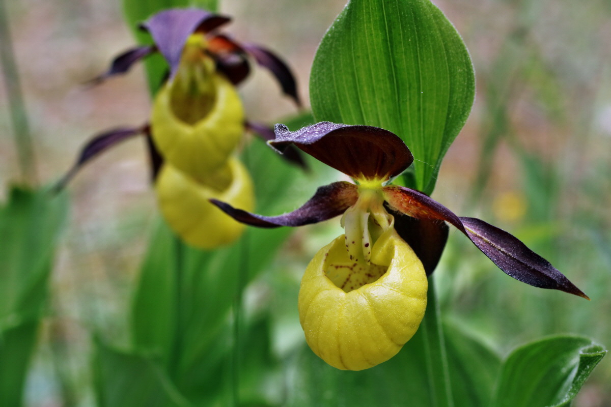 173_Bildgr��e �ndern