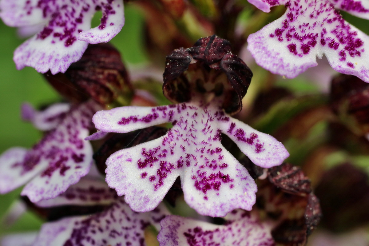 180_Bildgr��e �ndern