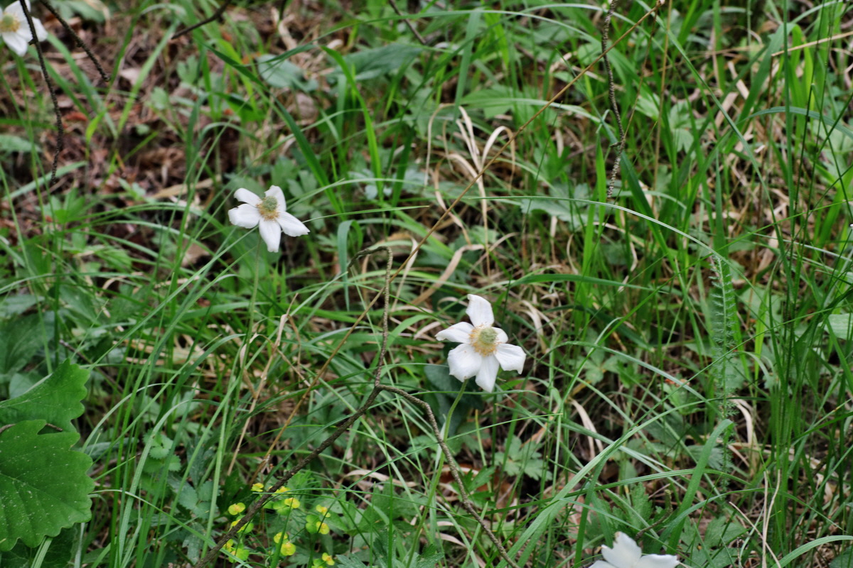 184_Bildgr��e �ndern