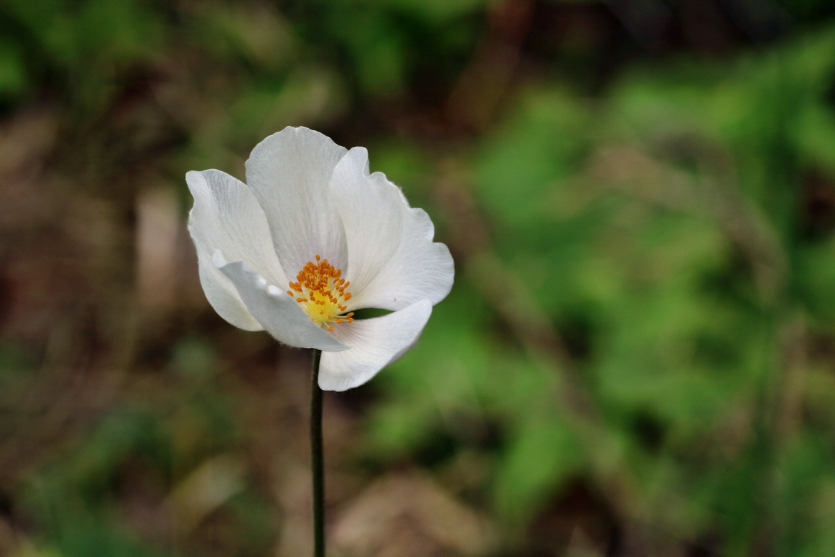 187_Bildgr��e �ndern