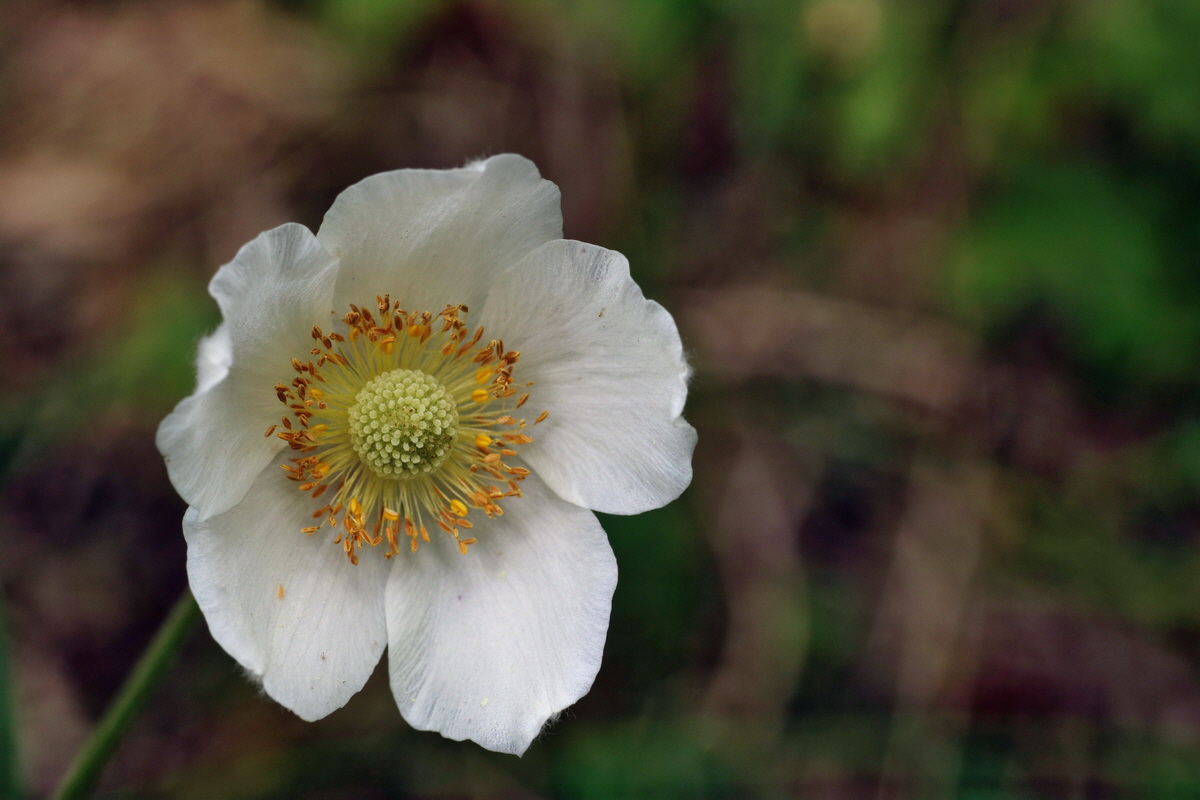 191_Bildgr��e �ndern