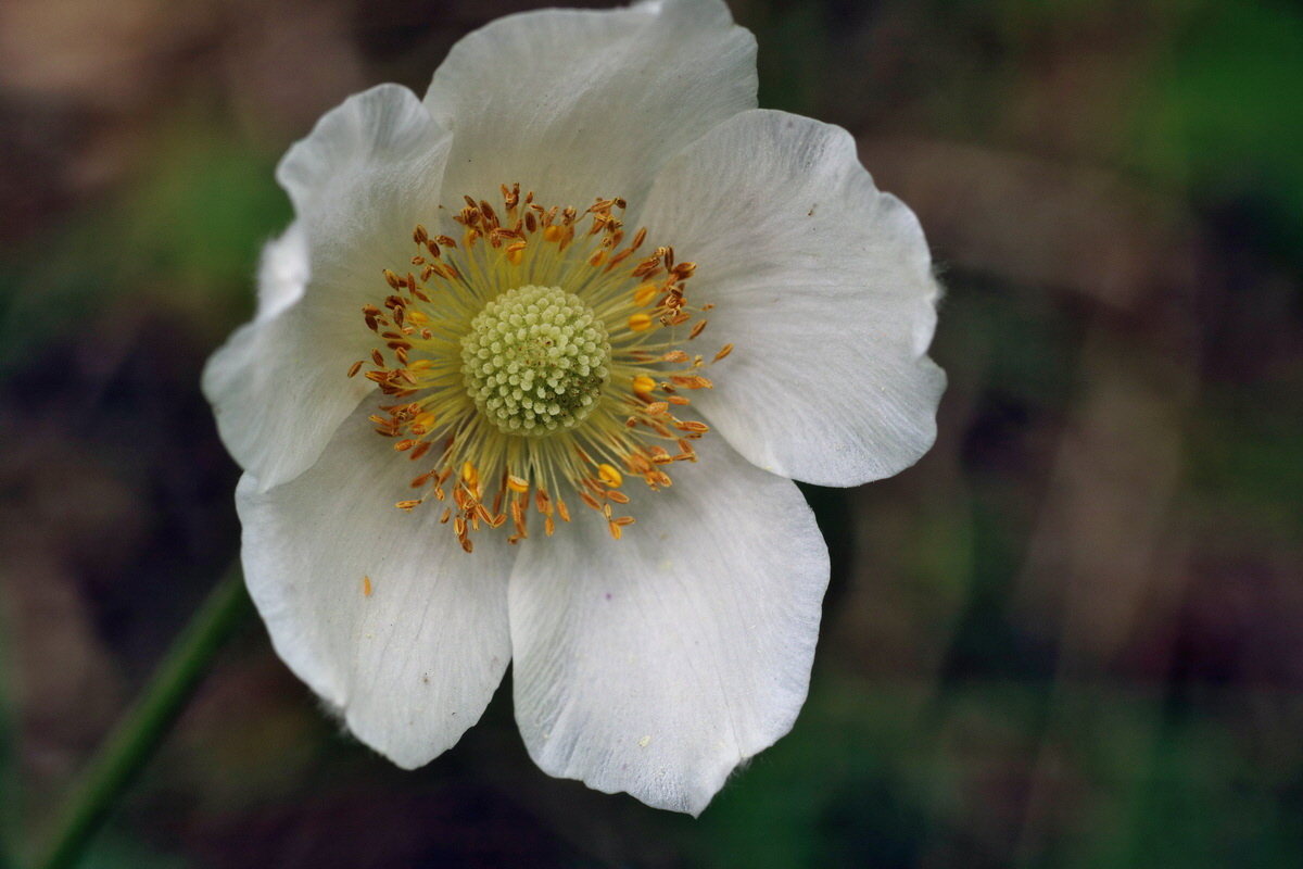 194_Bildgr��e �ndern