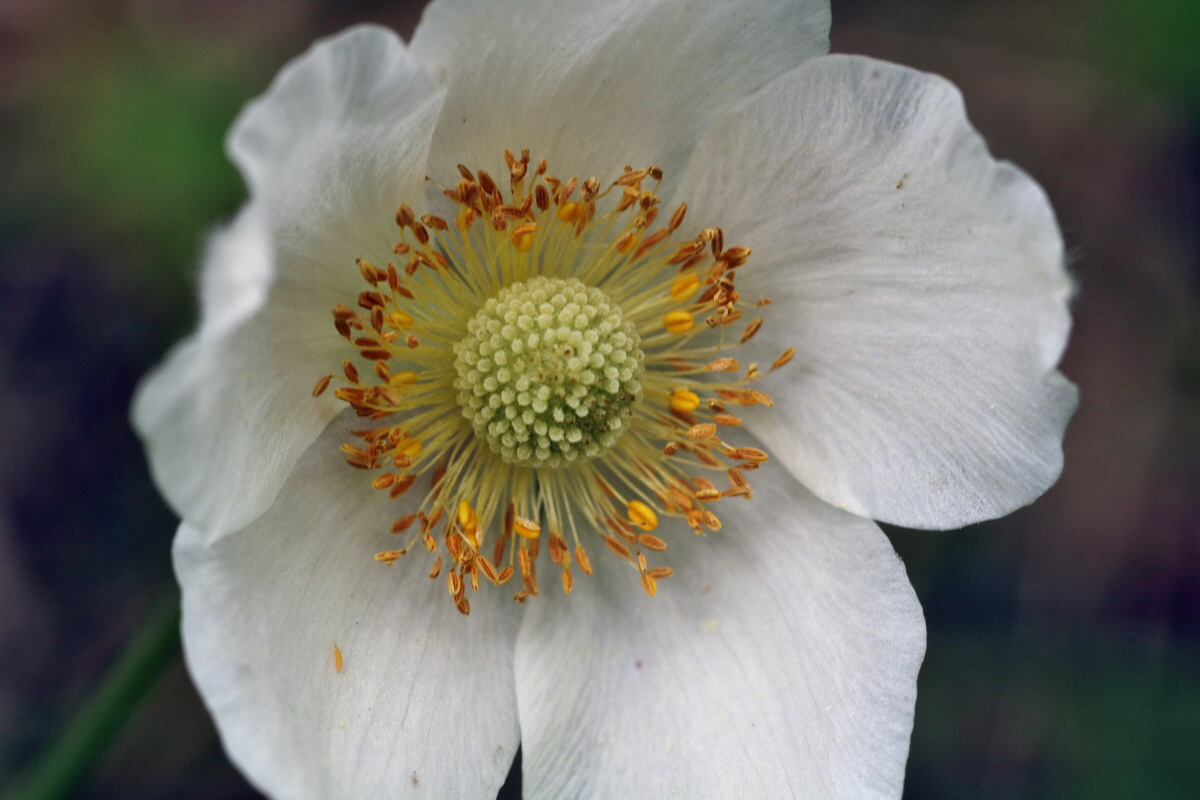 200_Bildgr��e �ndern