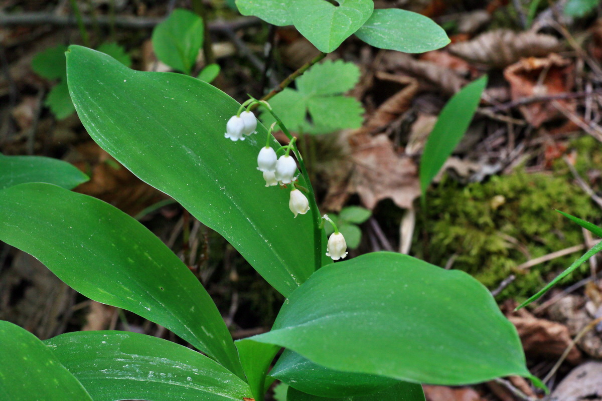 2015_05_23_00019448_Bildgr��e �ndern