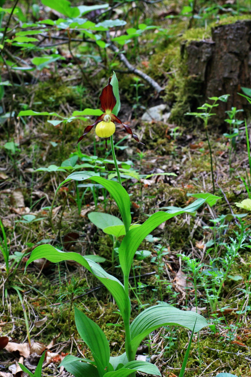 2015_05_23_00019452_Bildgr��e �ndern