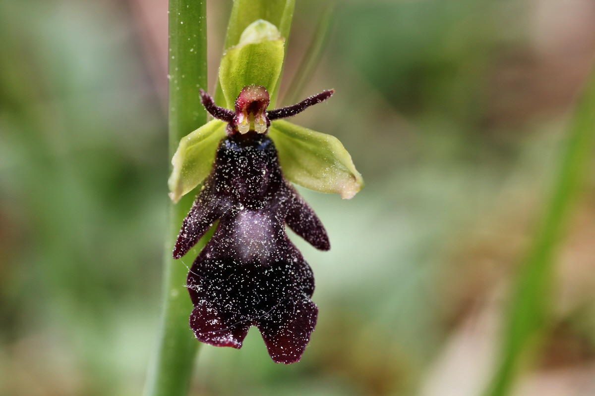 203_Bildgr��e �ndern