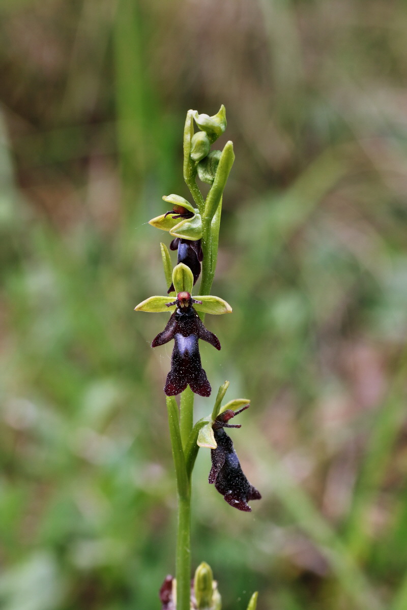 209_Bildgr��e �ndern