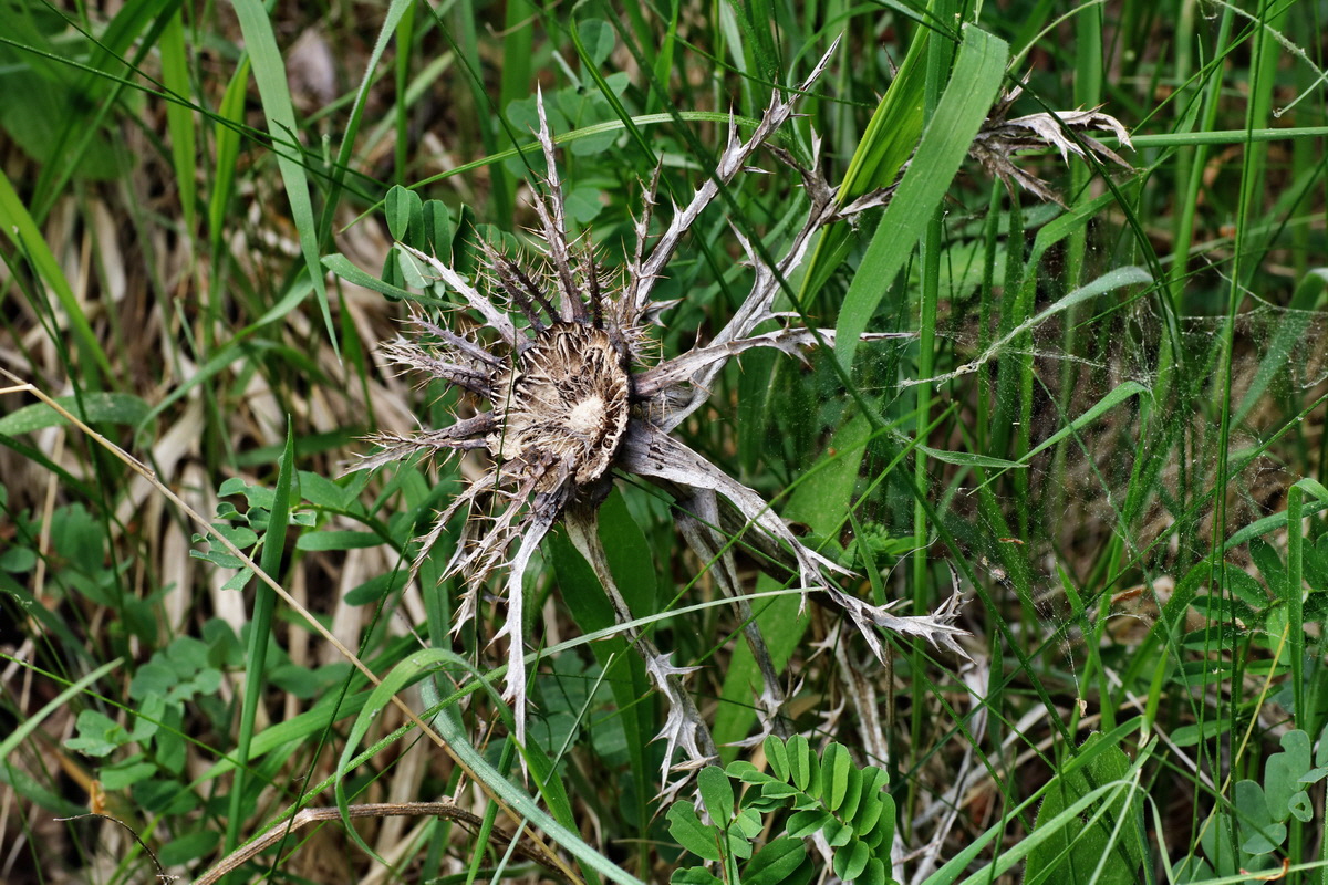 213_Bildgr��e �ndern