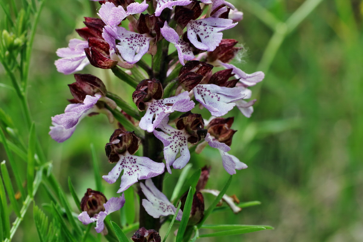 214_Bildgr��e �ndern