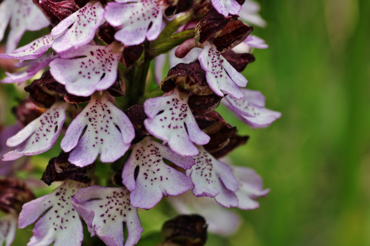 217_Bildgr��e �ndern