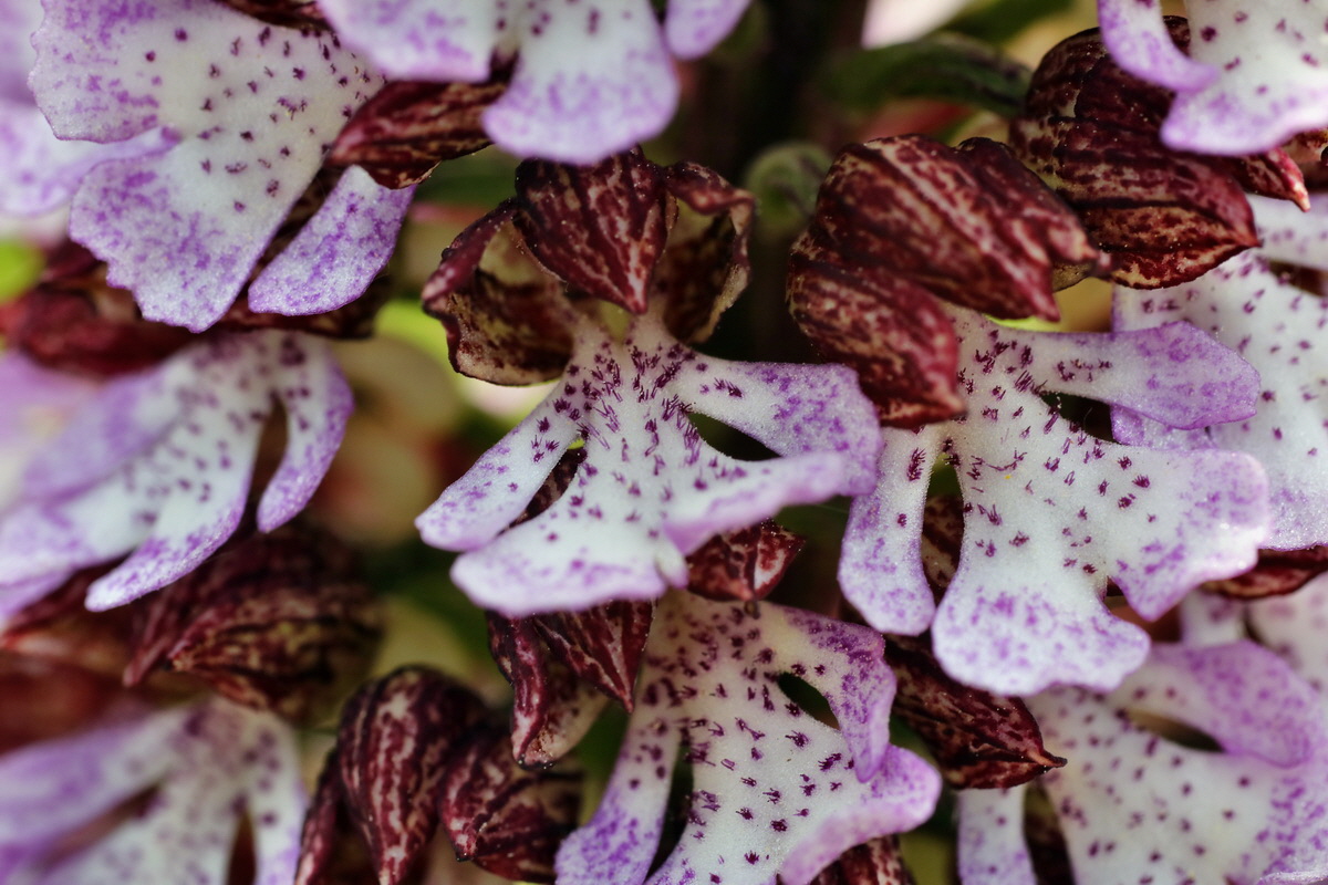 236_Bildgr��e �ndern