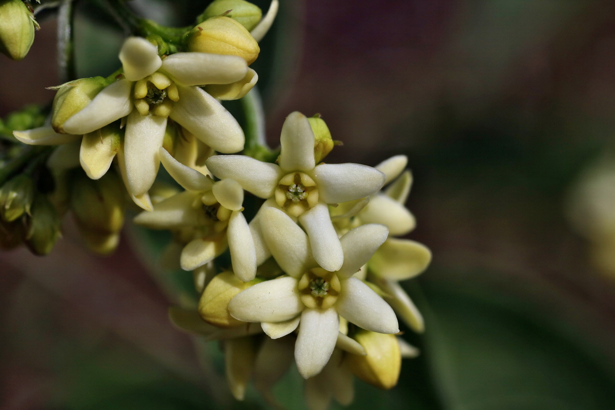 239_Bildgr��e �ndern