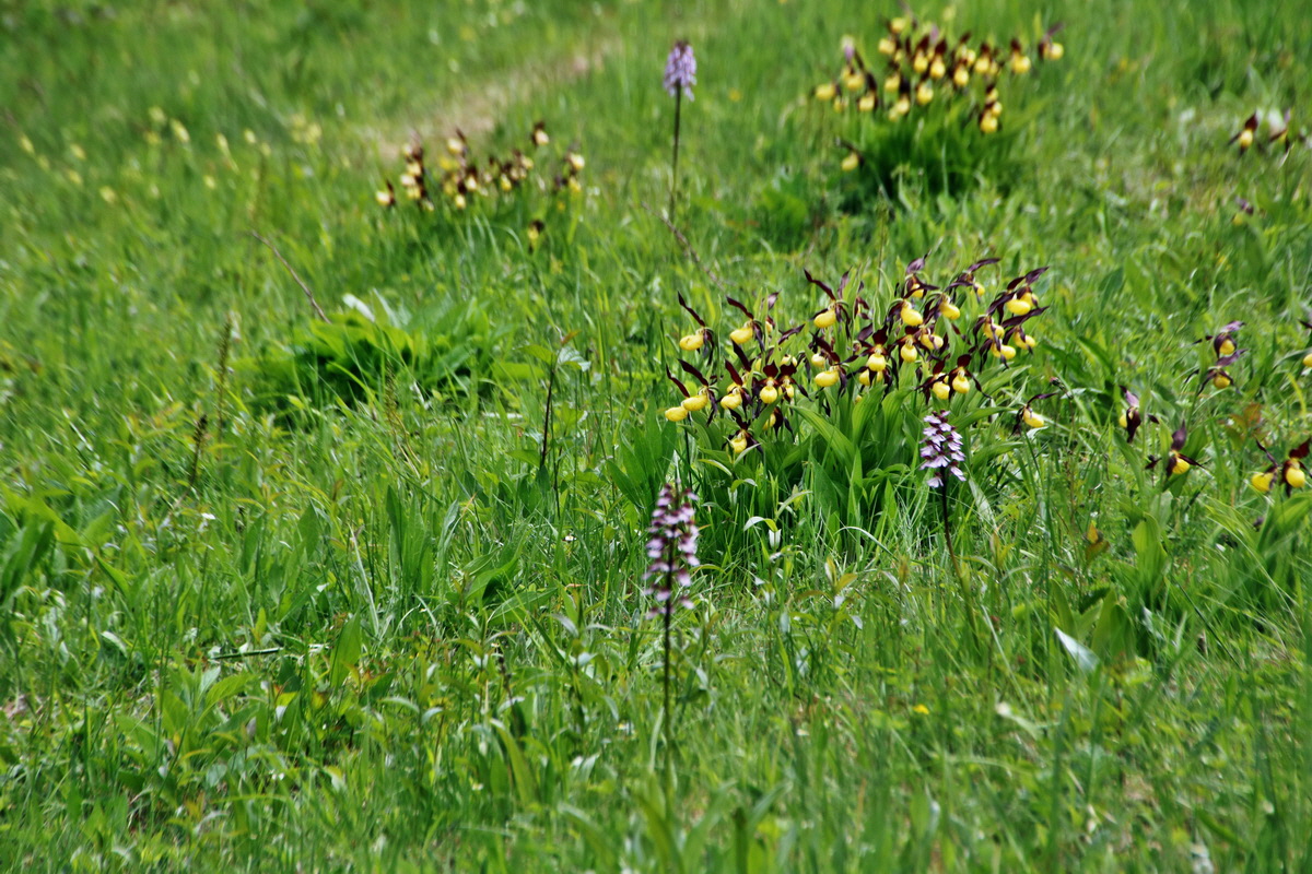 248_Bildgr��e �ndern