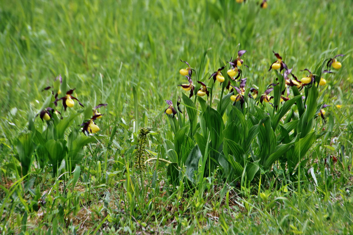 251_Bildgr��e �ndern