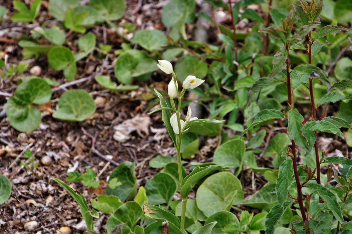 258_Bildgr��e �ndern