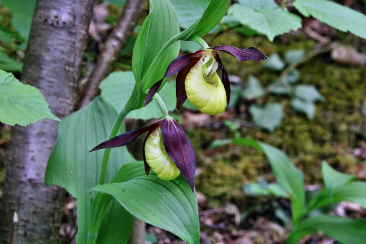 274_Bildgr��e �ndern