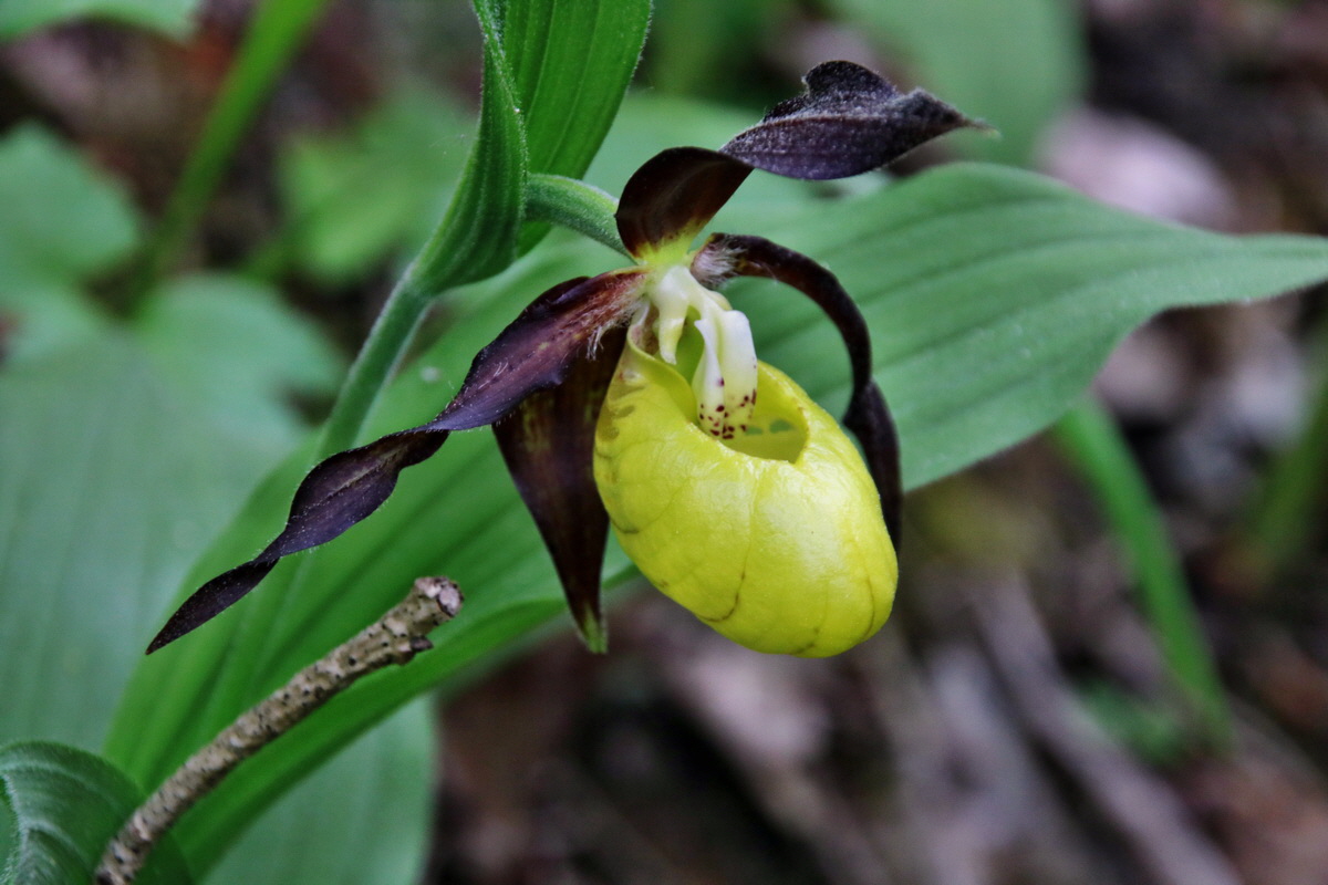 283_Bildgr��e �ndern