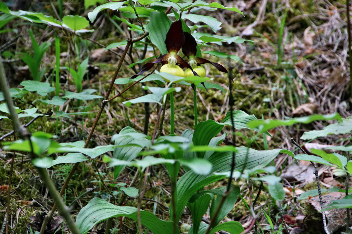 287_Bildgr��e �ndern