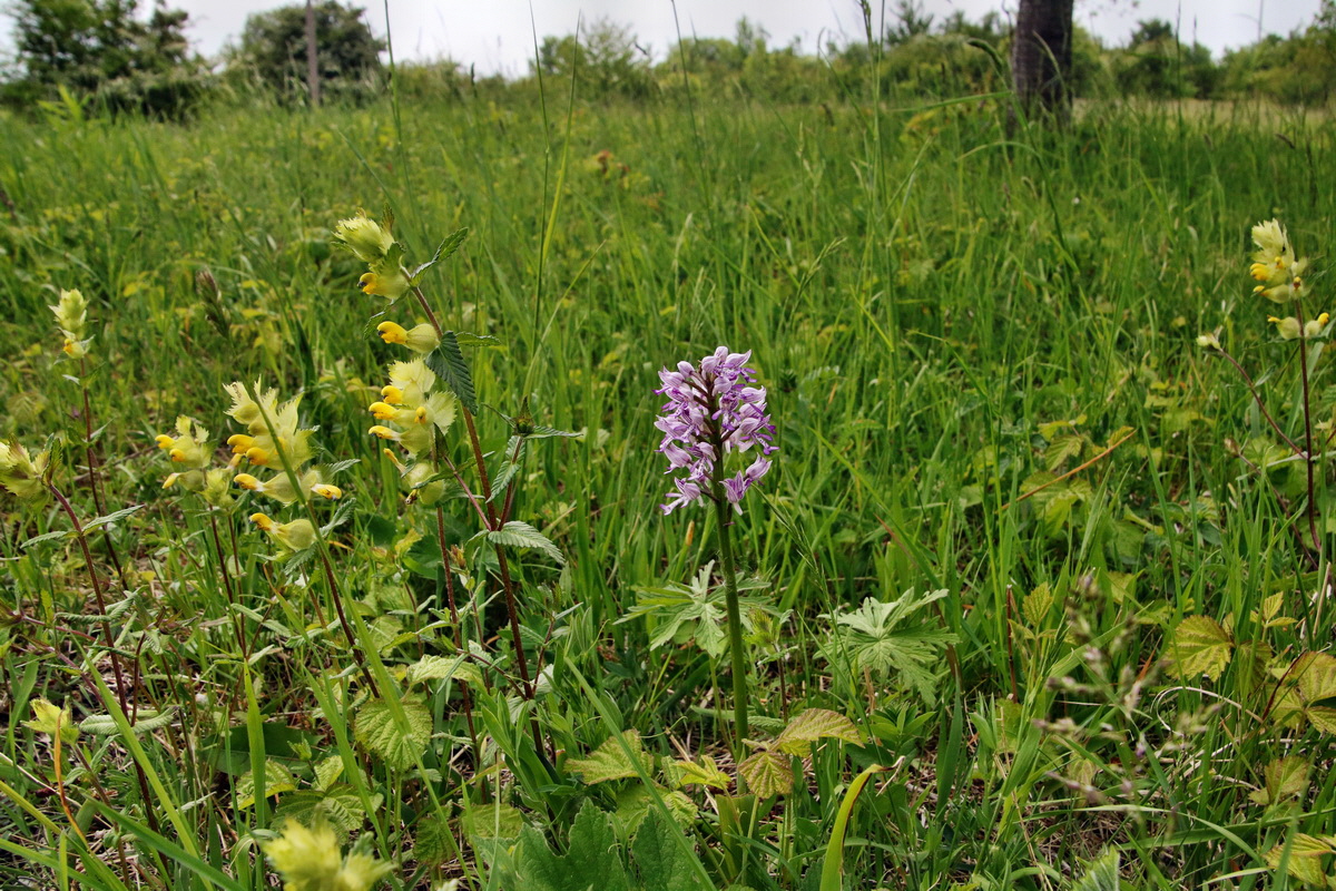 291_Bildgr��e �ndern