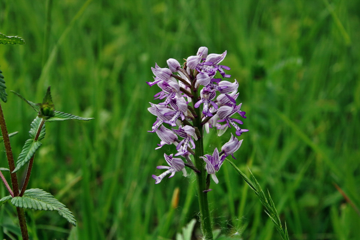 295_Bildgr��e �ndern