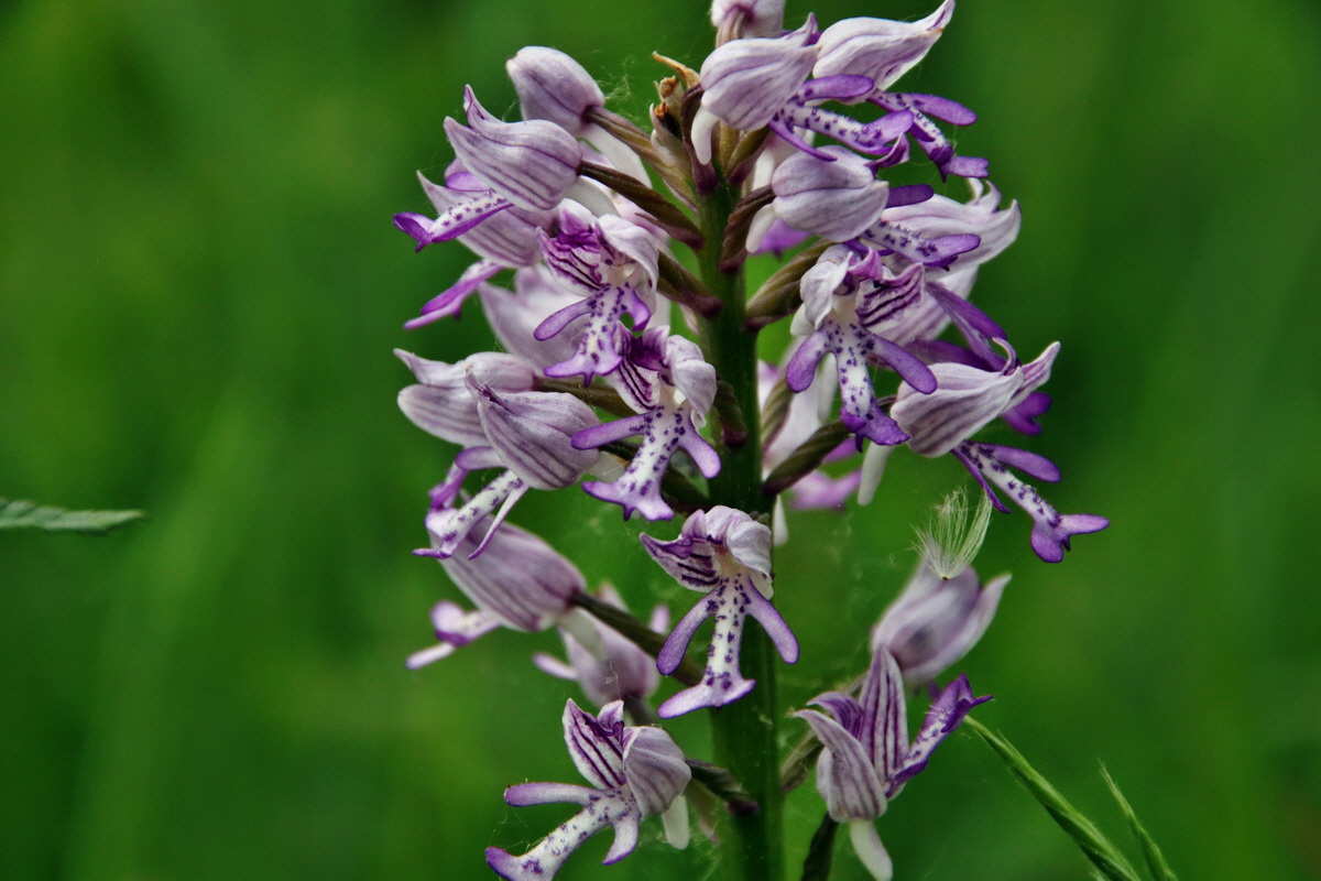 299_Bildgr��e �ndern