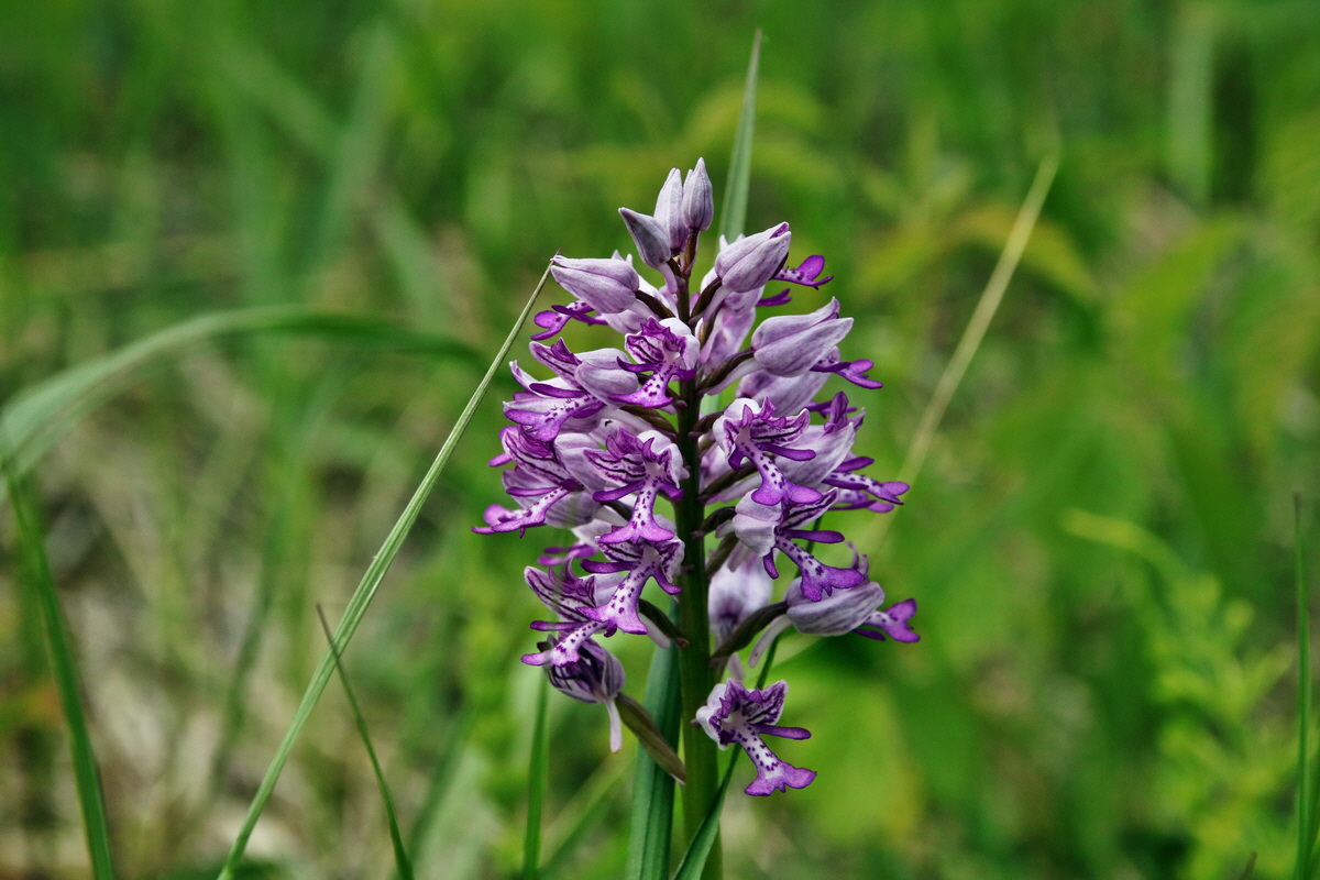 319_Bildgr��e �ndern