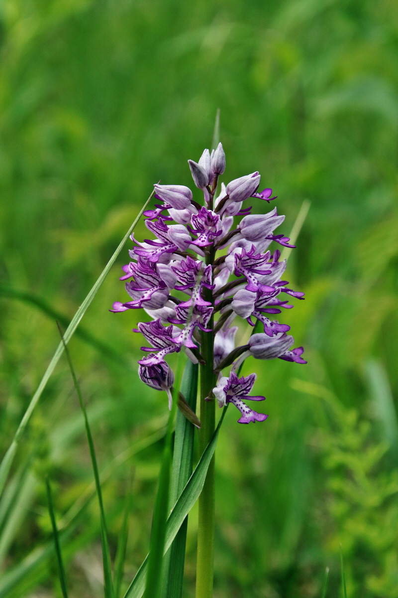 321_Bildgr��e �ndern